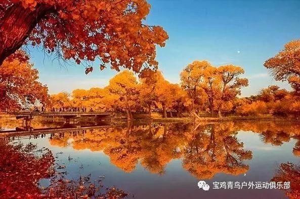 新型债券来了 中行将发不超1500亿元TLAC非资本债